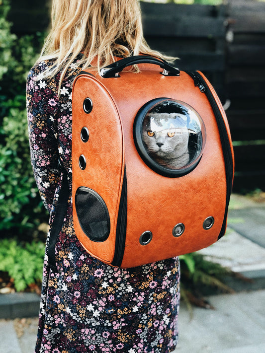 Safe and Secure: Selecting the Best Pet Carriers for Travel