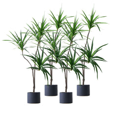 SOGA 4X 180cm Green Artificial Indoor Brazlian Iron Tree Fake Plant Decorative 3 Heads