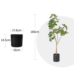 SOGA 2X 160cm Artificial Natural Green Schefflera Dwarf Umbrella Tree Fake Tropical Indoor Plant Home Office Decor