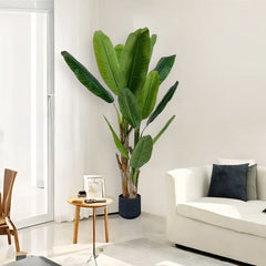 SOGA 220cm Banna Plant Bird of Paradise Tree Artificial Plant Home Accent Decor