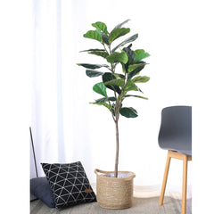 SOGA 2X 155cm Green Artificial Indoor Qin Yerong Tree Fake Plant Simulation Decorative