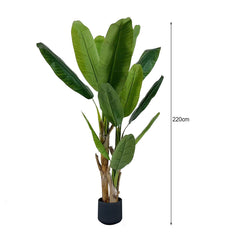 SOGA 220cm Banna Plant Bird of Paradise Tree Artificial Plant Home Accent Decor