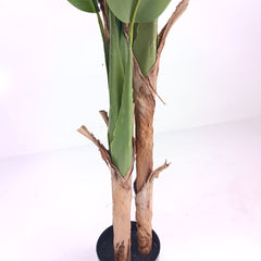 SOGA 2X 220cm Banna Plant Bird of Paradise Tree Artificial Plant Home Accent Decor