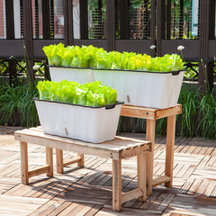 SOGA 35cm Small White Rectangular Flowerpot Vegetable Herb Flower Outdoor Plastic Box Garden Decor