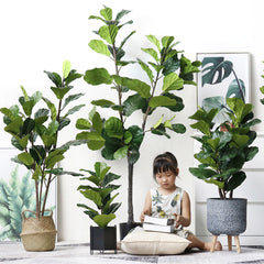 SOGA 120cm Green Artificial Indoor Qin Yerong Tree Fake Plant Simulation Decorative