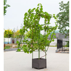 SOGA 160cm Rectangular Inclined Plant Frame Tube Pergola Trellis Vegetable Flower Herbs Outdoor Vine Support Garden Rack