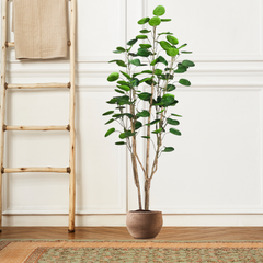 SOGA 2X 180cm Plastic Potted Polyscias Scutellaria Plant Home Garden Artificial Tree, Home Decor