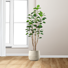 SOGA 2X 180cm Plastic Potted Polyscias Scutellaria Plant Home Garden Artificial Tree, Home Decor